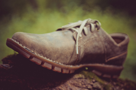New stylish brown men's shoes.