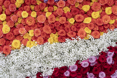 Pattern of red, orange, and yellow roses.の写真素材
