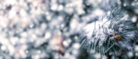 Christmas background - branches, toys, snow.