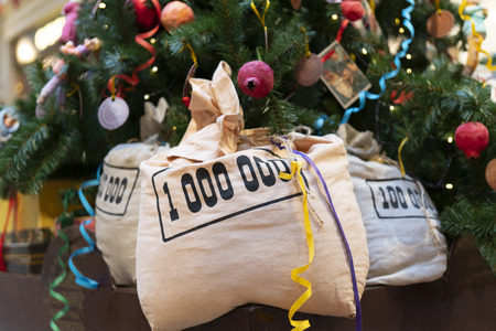 Money bags under the Christmas tree.の写真素材