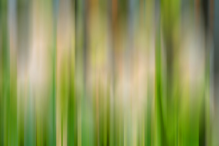 Abstract vertical green lines background.の写真素材