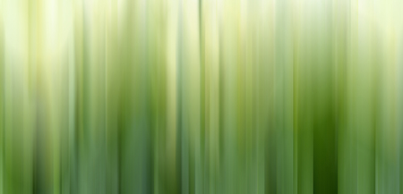 Abstract vertical green lines background.