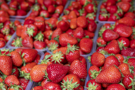 Ripe red strawberries in plastic boxes.の写真素材