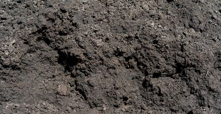 Black fertile land black soil.