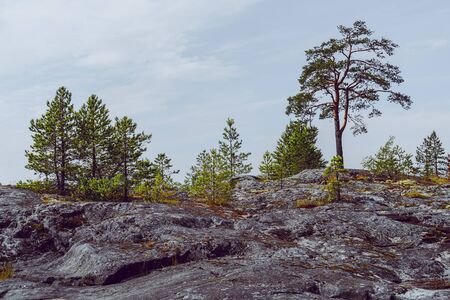 Islands in Lake Ladoga. Beautiful landscape - water, pines and boulders.の写真素材