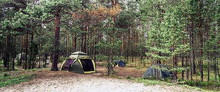 Tents on the sandy shore of the lake.の写真素材