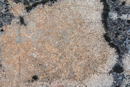 Stone texture. Pink granite surface.の写真素材