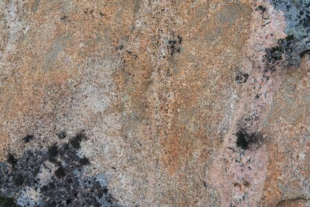 Stone texture. Pink granite surface.の写真素材