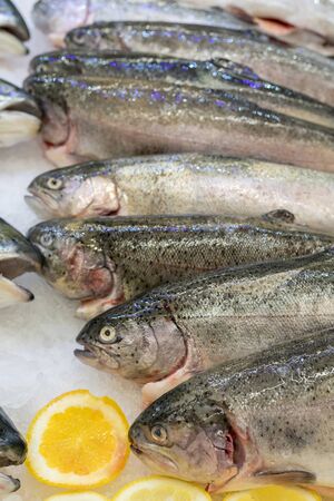 Fresh trout fish on an ice counter in a supermarket.の写真素材