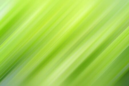 Diagonal lines of strip. Abstract background Background for modern graphic design and text.の写真素材