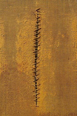 Yellow net. Wired hole. Texture of yellow surface.の写真素材