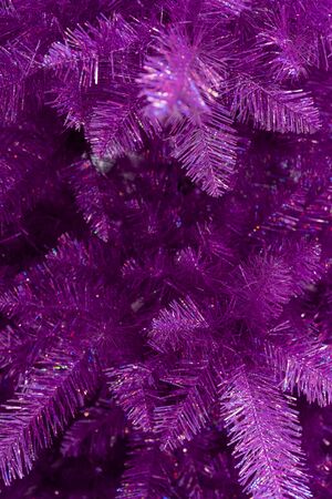 Branches of spruce - natural background. Christmas holiday.の写真素材
