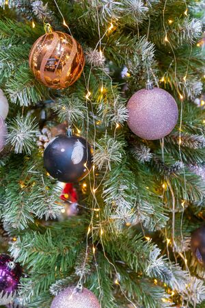 Christmas decorations on branches of green spruce. Christmas holiday.の写真素材