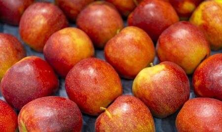 Ripe red apples. Harvest of autumn in the store.の写真素材