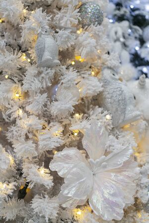 White spruce branches - christmas tree. Defocus. Background for design.の写真素材