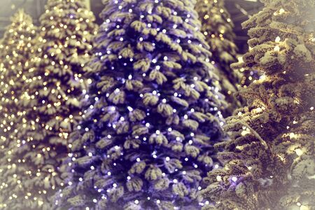Yellow christmas tree lights. Defocus. Background for design.の写真素材