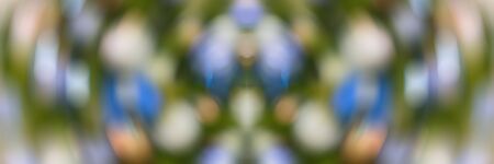 Yellow christmas tree lights. Defocus. Background for design.の写真素材