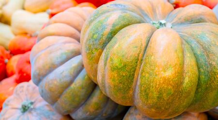 Big yellow pumpkin. Halloween autumn holiday.の写真素材