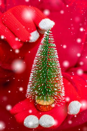 Little green decorative Christmas tree. Festive composition.の写真素材