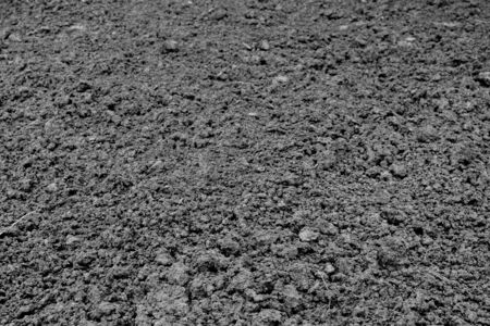 Black loose earth. Farmer plowed the field. Soil texture.の写真素材