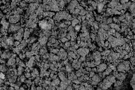 Black loose earth. Farmer plowed the field. Soil texture.の写真素材