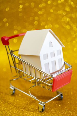 Little white paper house in trolley. Selling real estate in store.の写真素材