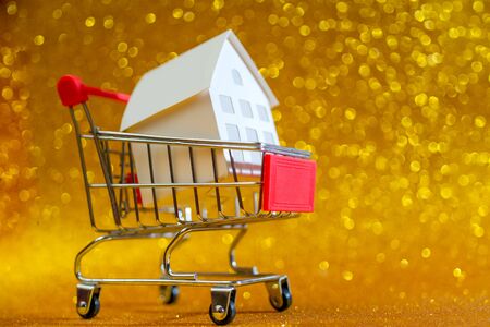 Little white paper house in trolley. Selling real estate in store.の写真素材