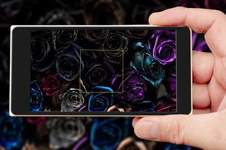 Beautiful black roses on smartphone screen. Floral abstract background for wedding and engagement.の写真素材