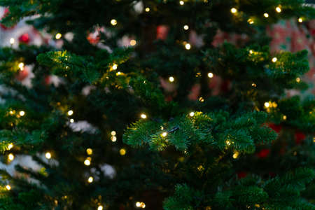 Electric lights on green branches of a Christmas tree. The festive garland decorates the holiday.の写真素材