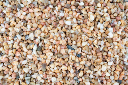 Texture of wet yellow sand beach. Natural background.の写真素材