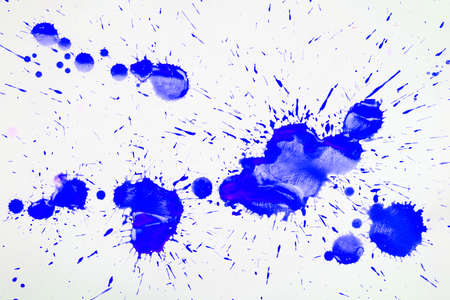 Blue blots and spots on a white background.の写真素材
