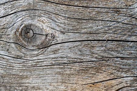 Old vintage wood planks. The texture of the wooden surface.の写真素材