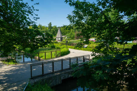 Summer park trees and alleys on a sunny day.の写真素材