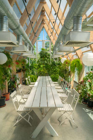 Green plants in a pavilion with a glass roof. Modern interior.