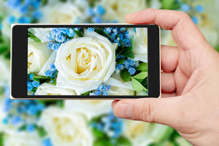 Flowers beautiful bouquet on smartphone screen. Decorative floral natural background.の写真素材