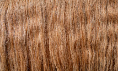 The texture of beautiful thick red hair. Beautiful wavy hair.の写真素材