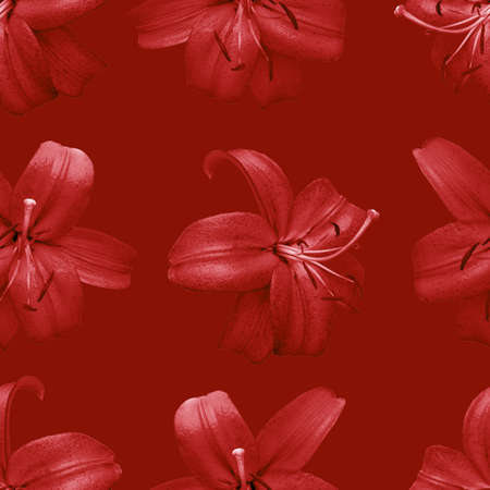 Beautiful flowers red lilies. Seamless pattern of Lily flower bloom. Floral natural background.の写真素材