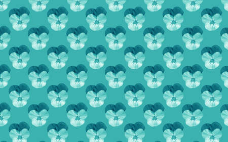 Beautiful pansy flowers. Blooming pansies seamless pattern. Floral natural background.の写真素材