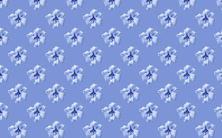 Beautiful flowers lilies. Seamless pattern of Lily flower bloom. Floral natural background.