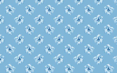 Beautiful flowers blue; lilies. Seamless pattern of Lily flower bloom. Floral natural background.の写真素材