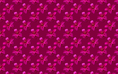 Beautiful flowers pink lilies. Seamless pattern of Lily flower bloom. Floral natural background.の写真素材