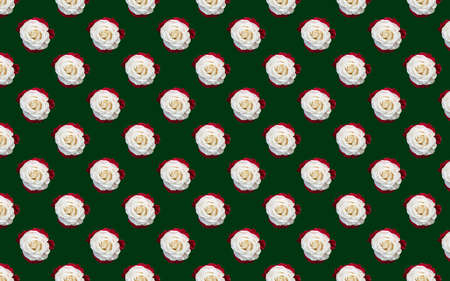 Beautiful white rose flowers. Blooming roses seamless pattern. Floral natural background.