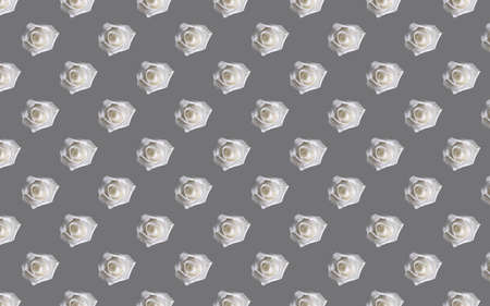 Beautiful white rose flowers. Blooming roses seamless pattern. Floral natural background.