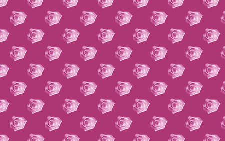 Beautiful pink rose flowers. Blooming roses seamless pattern. Floral natural background.の写真素材