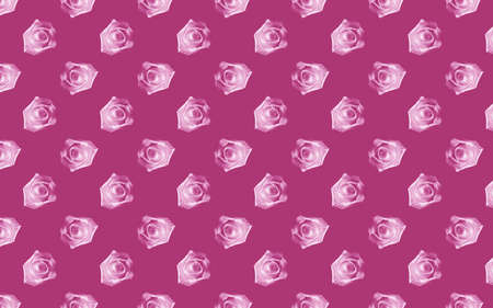 Beautiful pink rose flowers. Blooming roses seamless pattern. Floral natural background.の写真素材