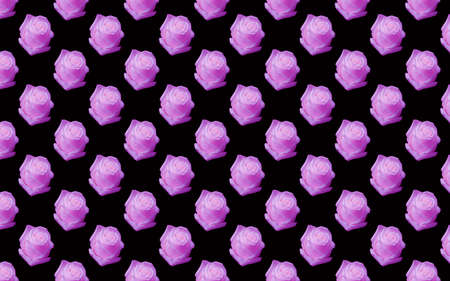 Beautiful pink rose flowers. Blooming roses seamless pattern. Floral natural background.の写真素材