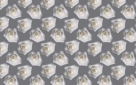 Beautiful white rose flowers. Blooming roses seamless pattern. Floral natural background.の写真素材