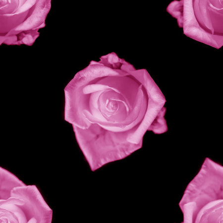Beautiful white rose flowers. Blooming roses seamless pattern. Floral natural background.の写真素材