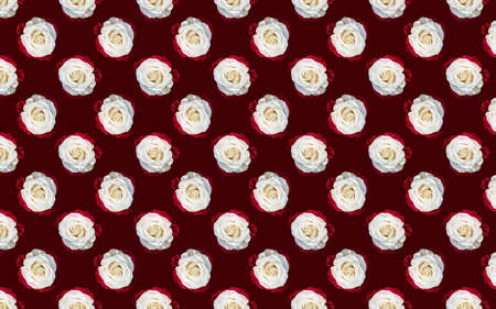 Beautiful white rose flowers. Blooming roses seamless pattern. Floral natural background.の写真素材