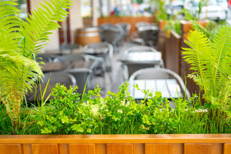The interior of a summer street cafe. Bright sunny day in the city.の写真素材
